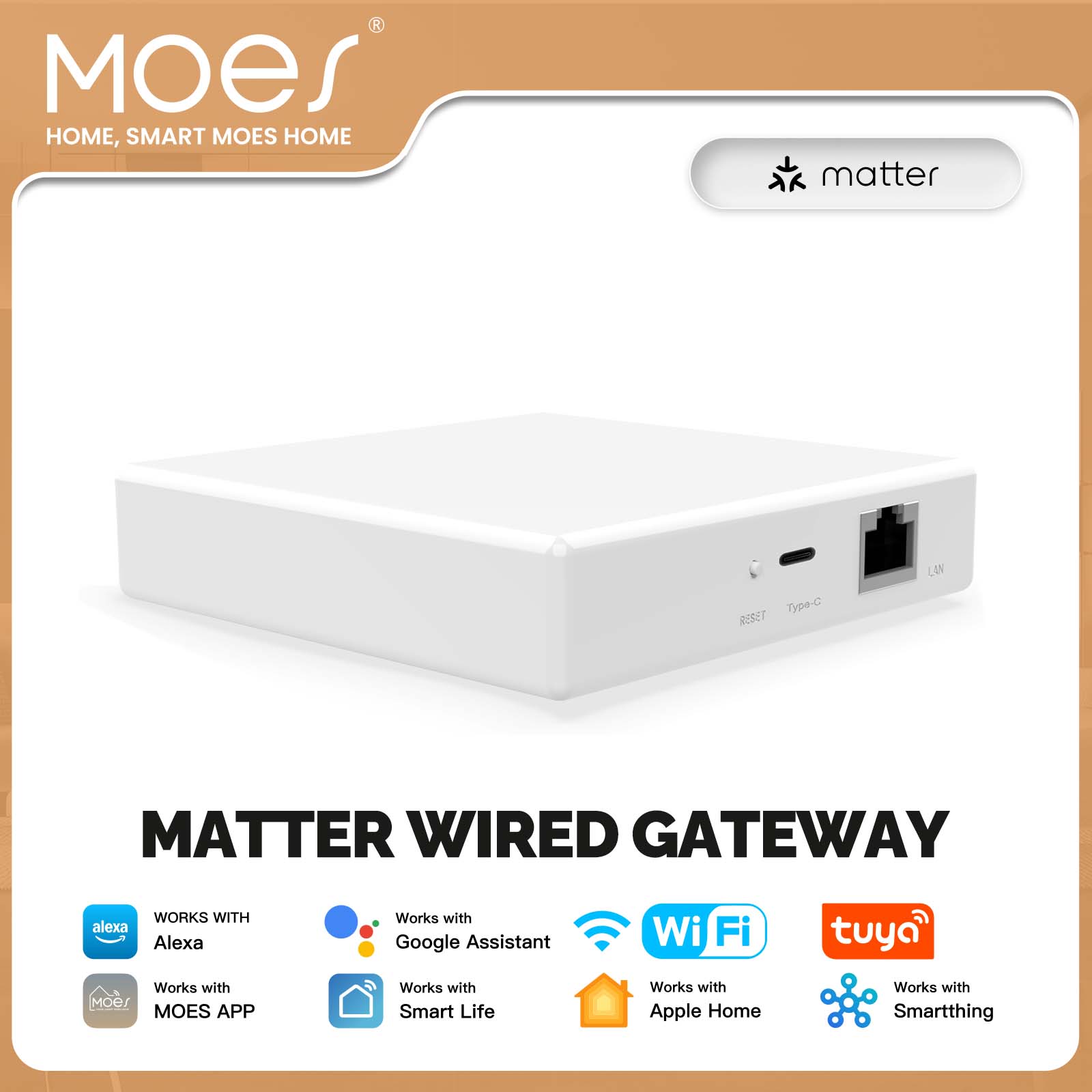 Smart Home Vimar - MOES 투야 지그비 매터 스레드 게이트웨이