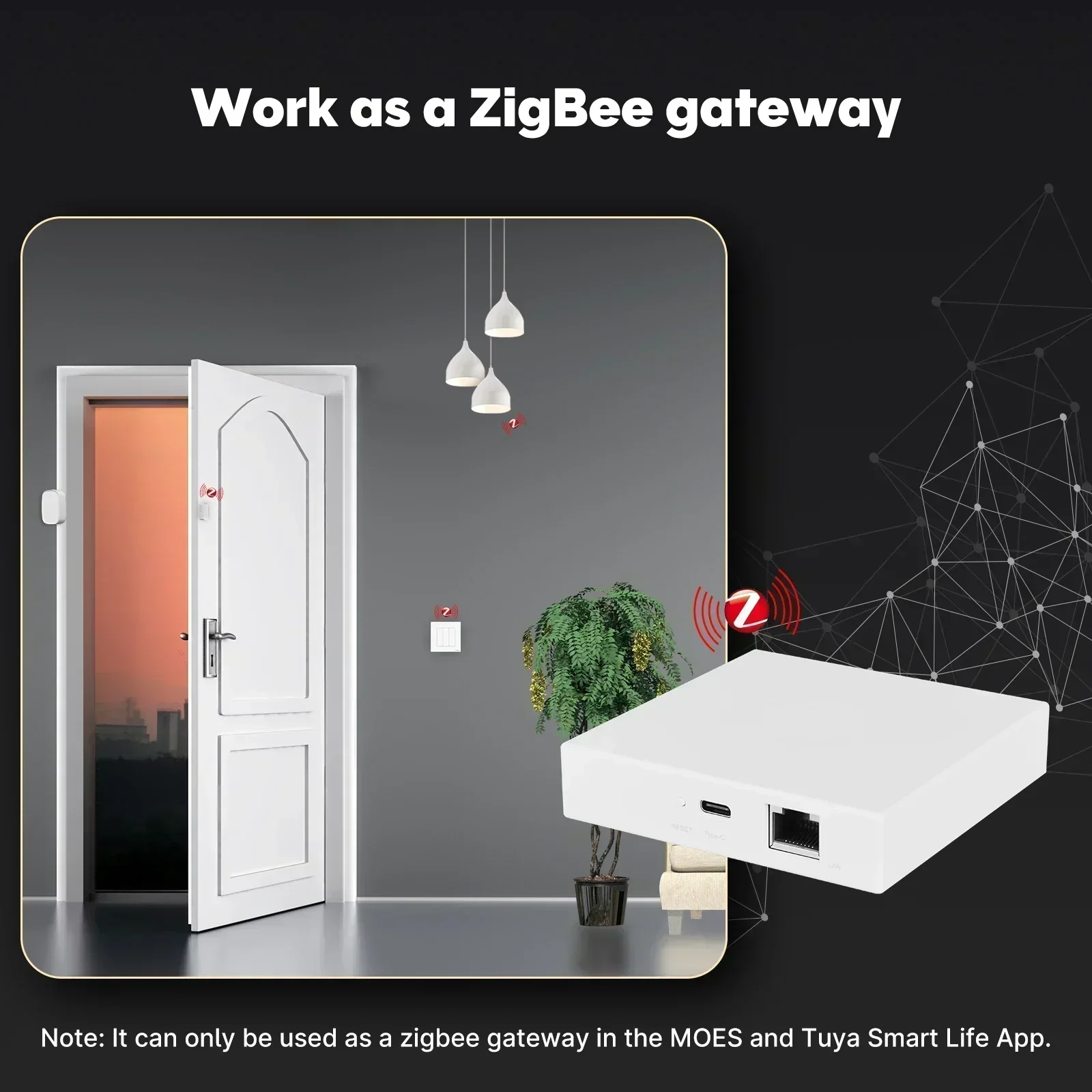 MOES Tuya Zigbee Matter 스레드 게이 - Smart Home Vimar 리뷰 및 가격